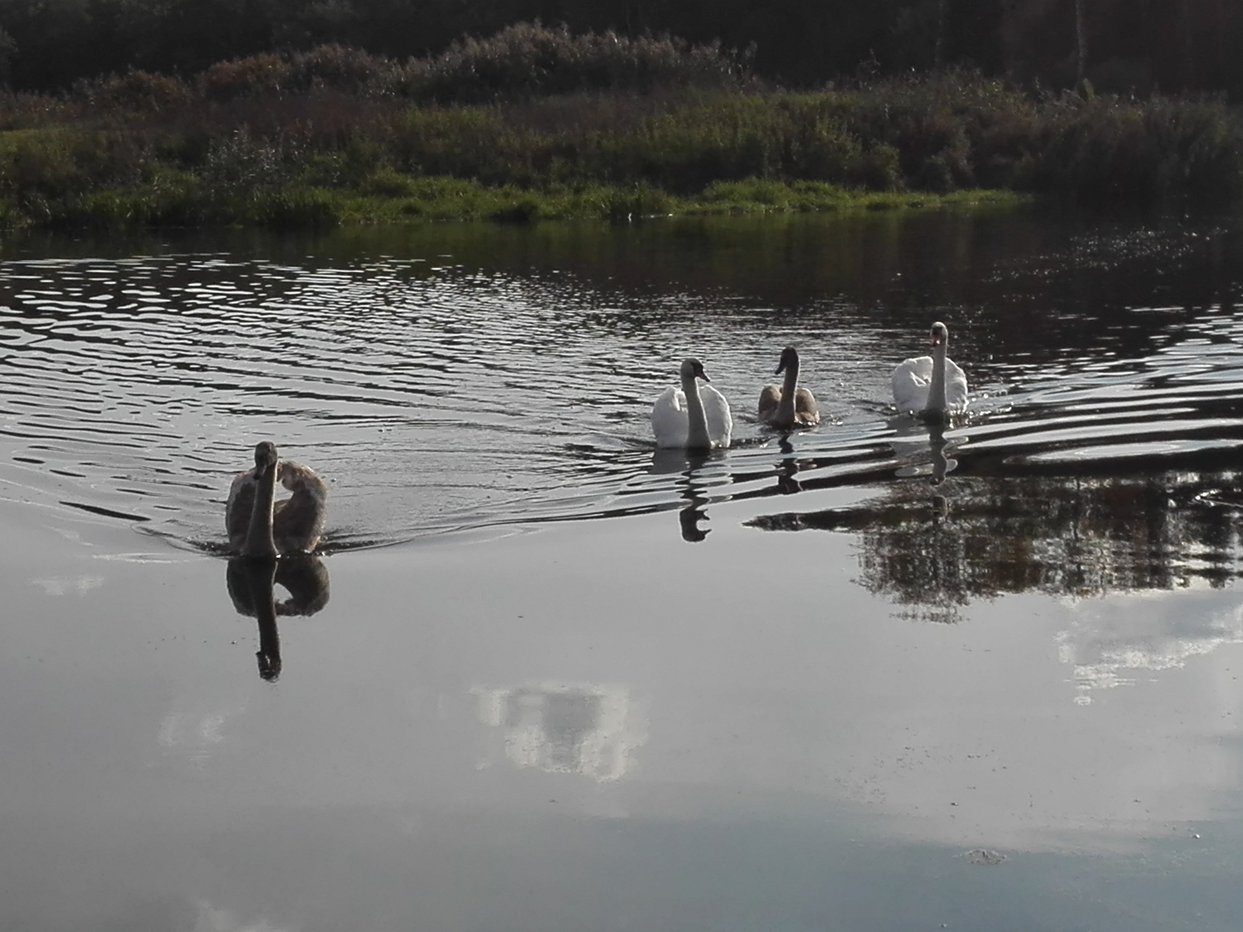 Izabela Stanisławska 6d.jpg